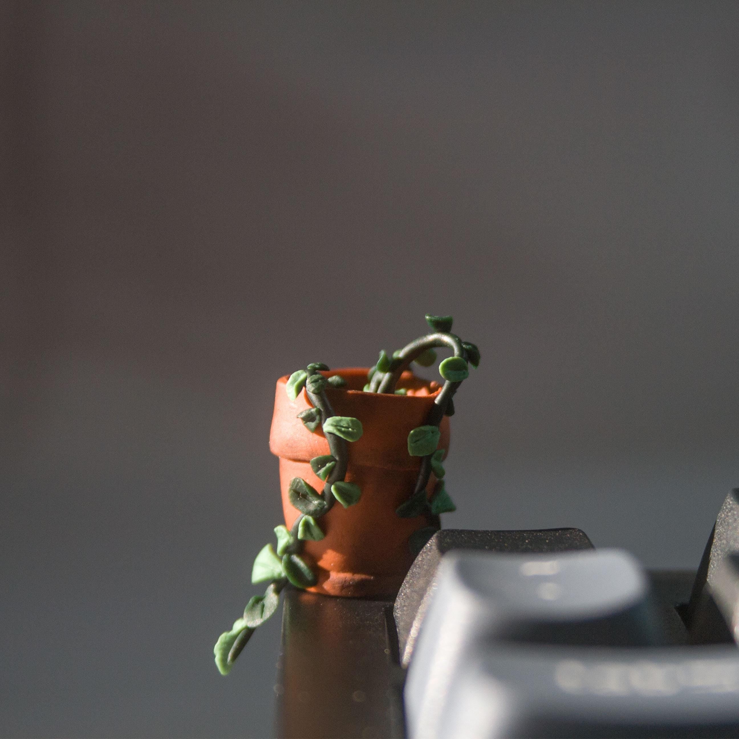 Potted Plant Monitor Topper