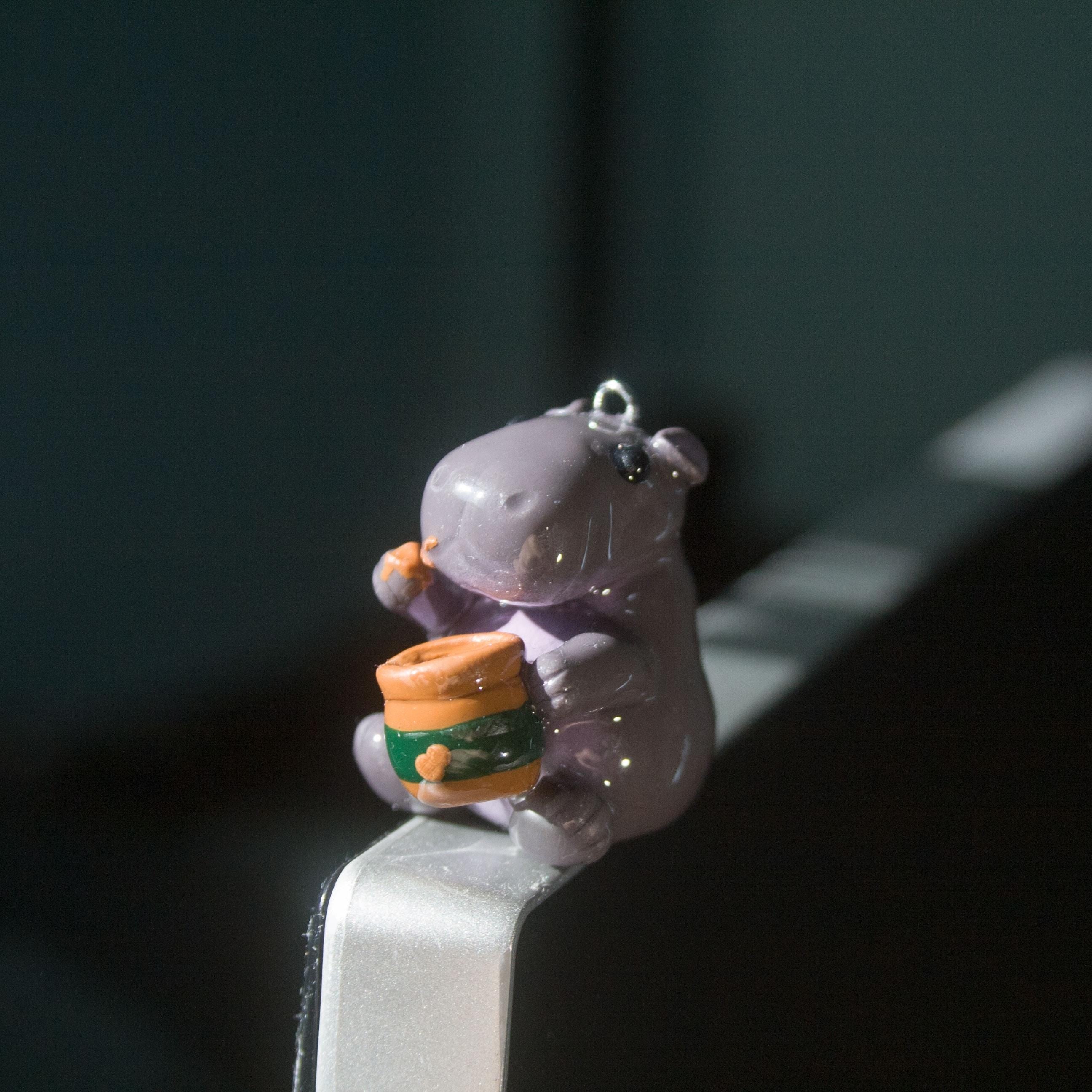 House Hippo Charm