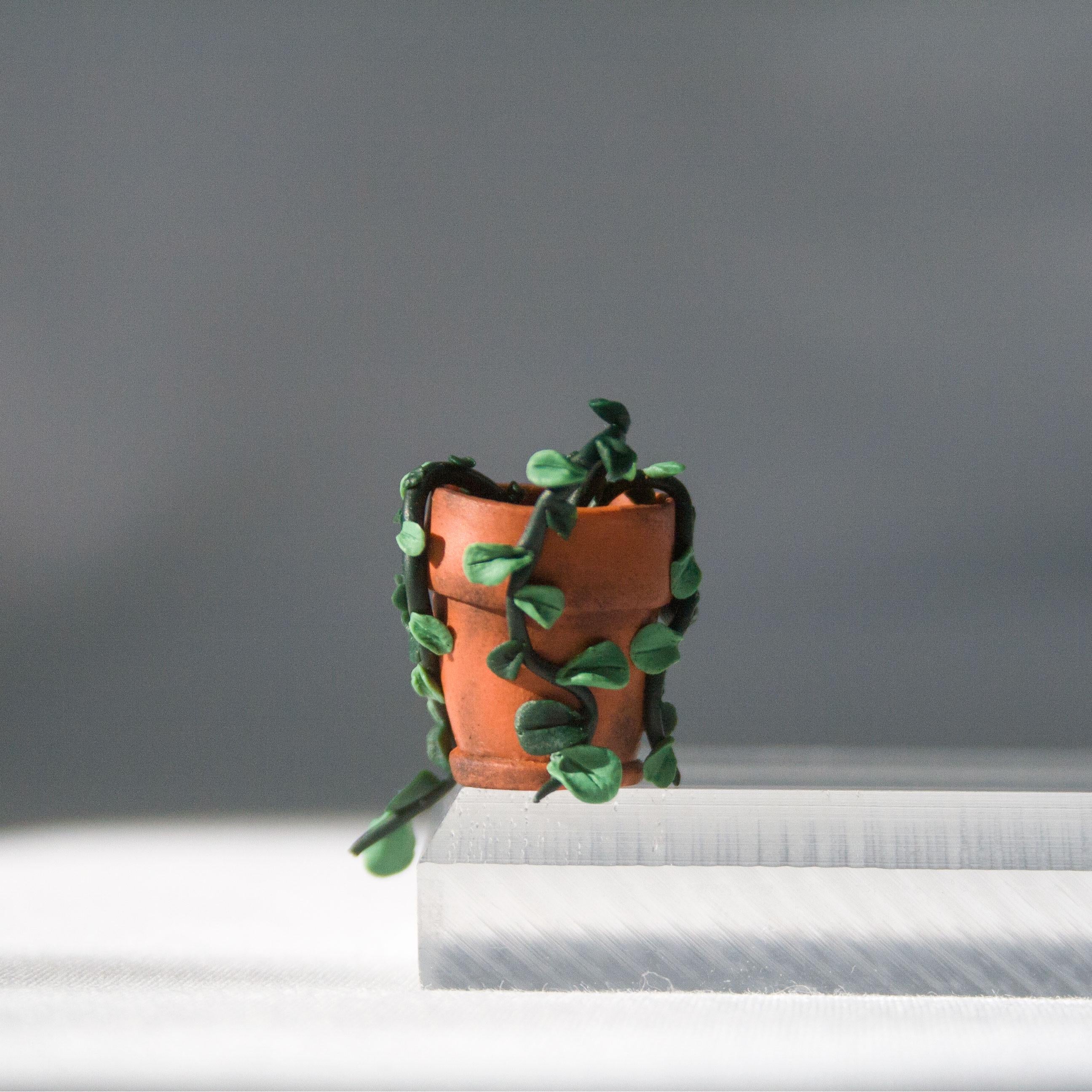 Potted Plant Monitor Topper