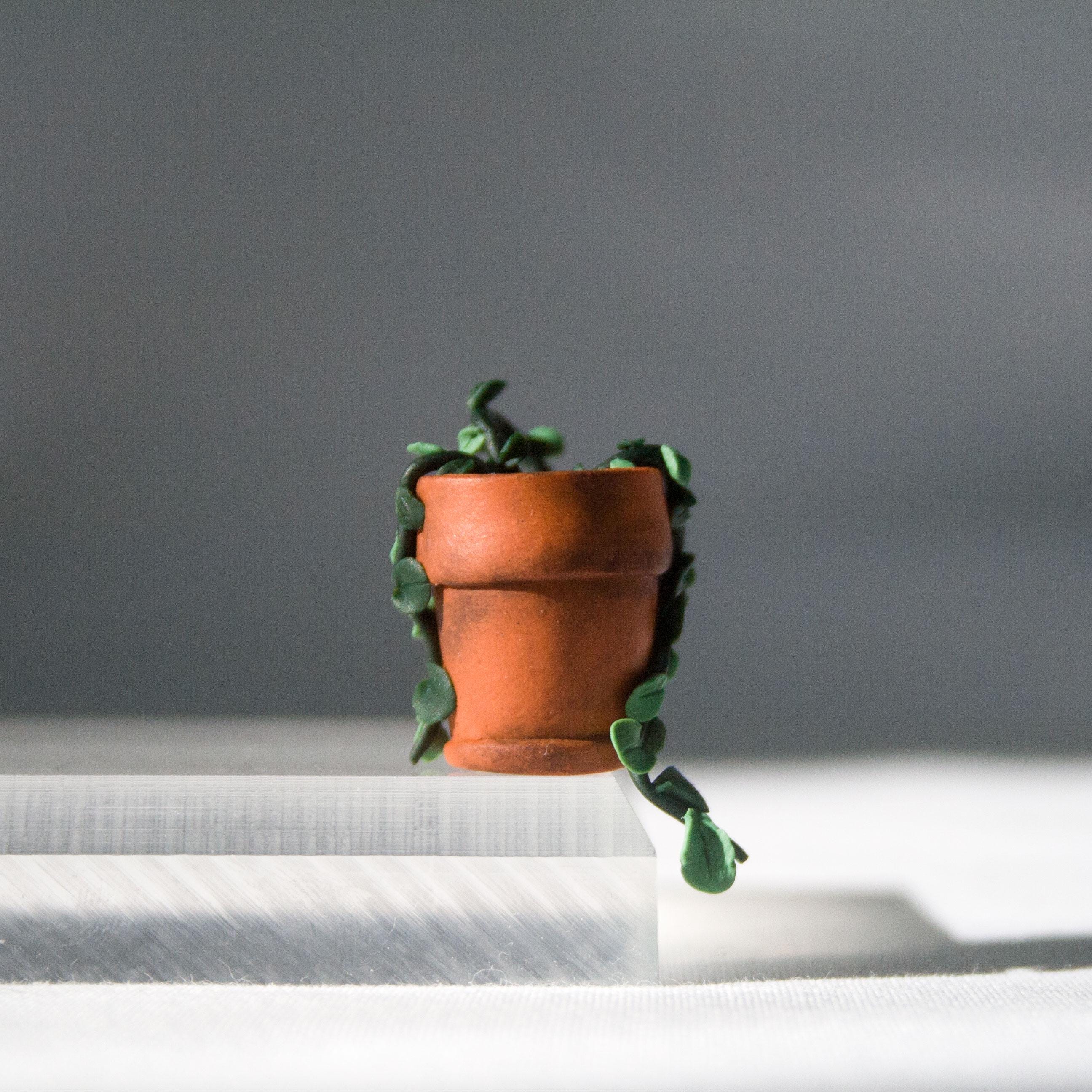 Potted Plant Monitor Topper