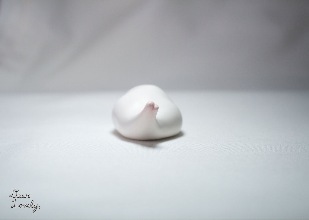 Cute Seal Desk Friend and Helper