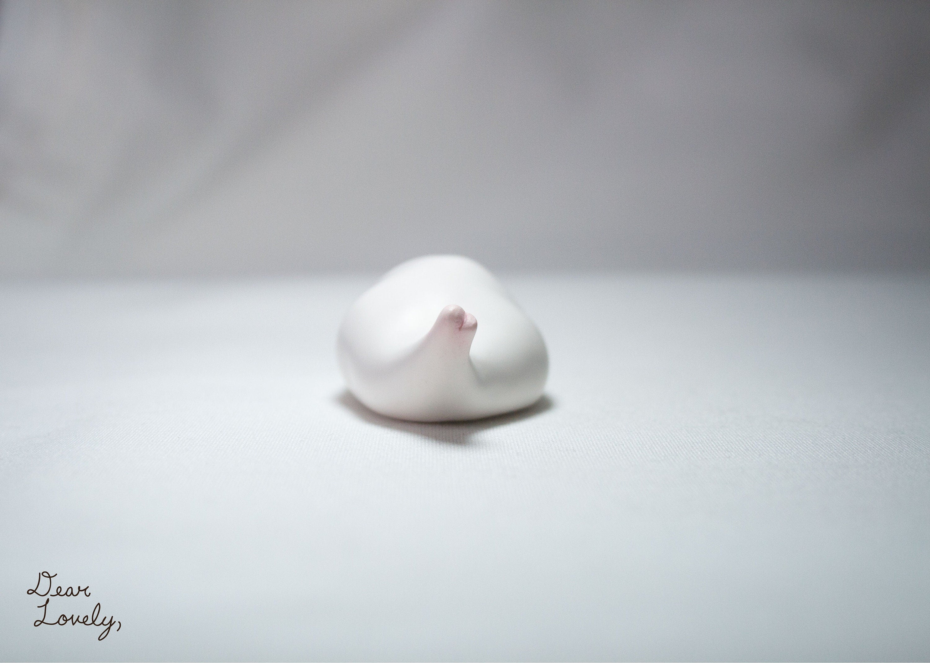 Cute Seal Desk Friend and Helper