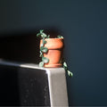 Potted Plant Monitor Topper